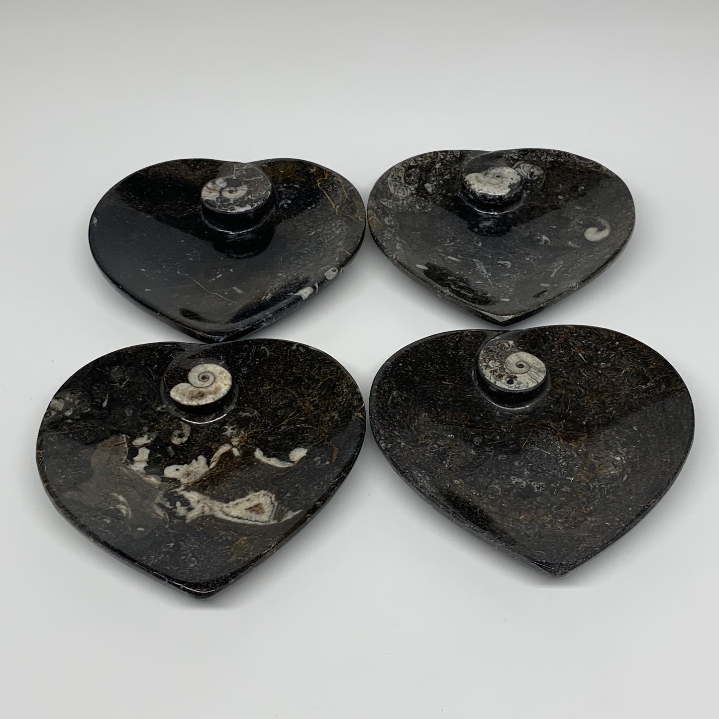 4Pcs, 4.8"x4.7" Small Heart Fossils Orthoceras Ammonite Bowls @Morocco, B8790