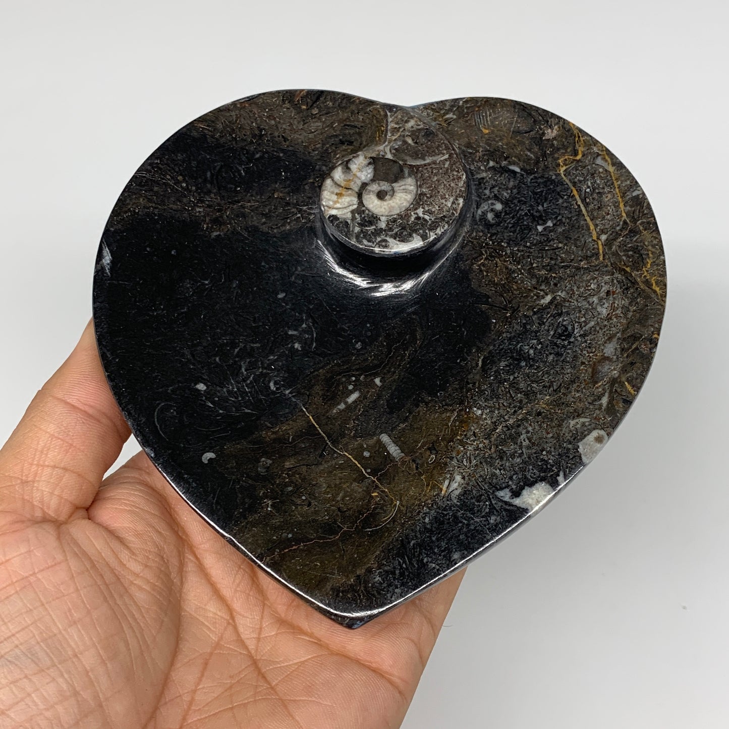 4Pcs, 4.8"x4.7" Small Heart Fossils Orthoceras Ammonite Bowls @Morocco, B8790