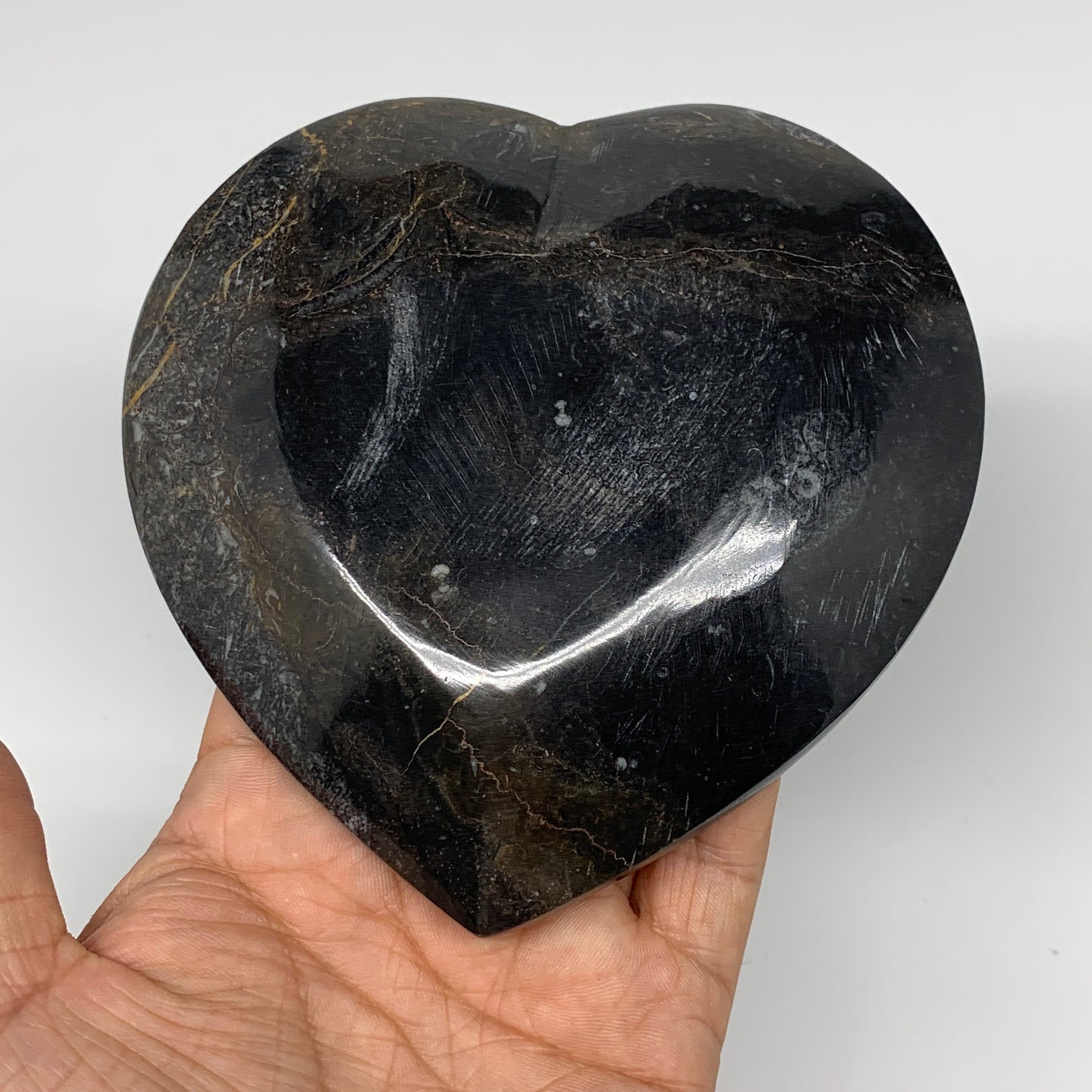 4Pcs, 4.8"x4.7" Small Heart Fossils Orthoceras Ammonite Bowls @Morocco, B8790