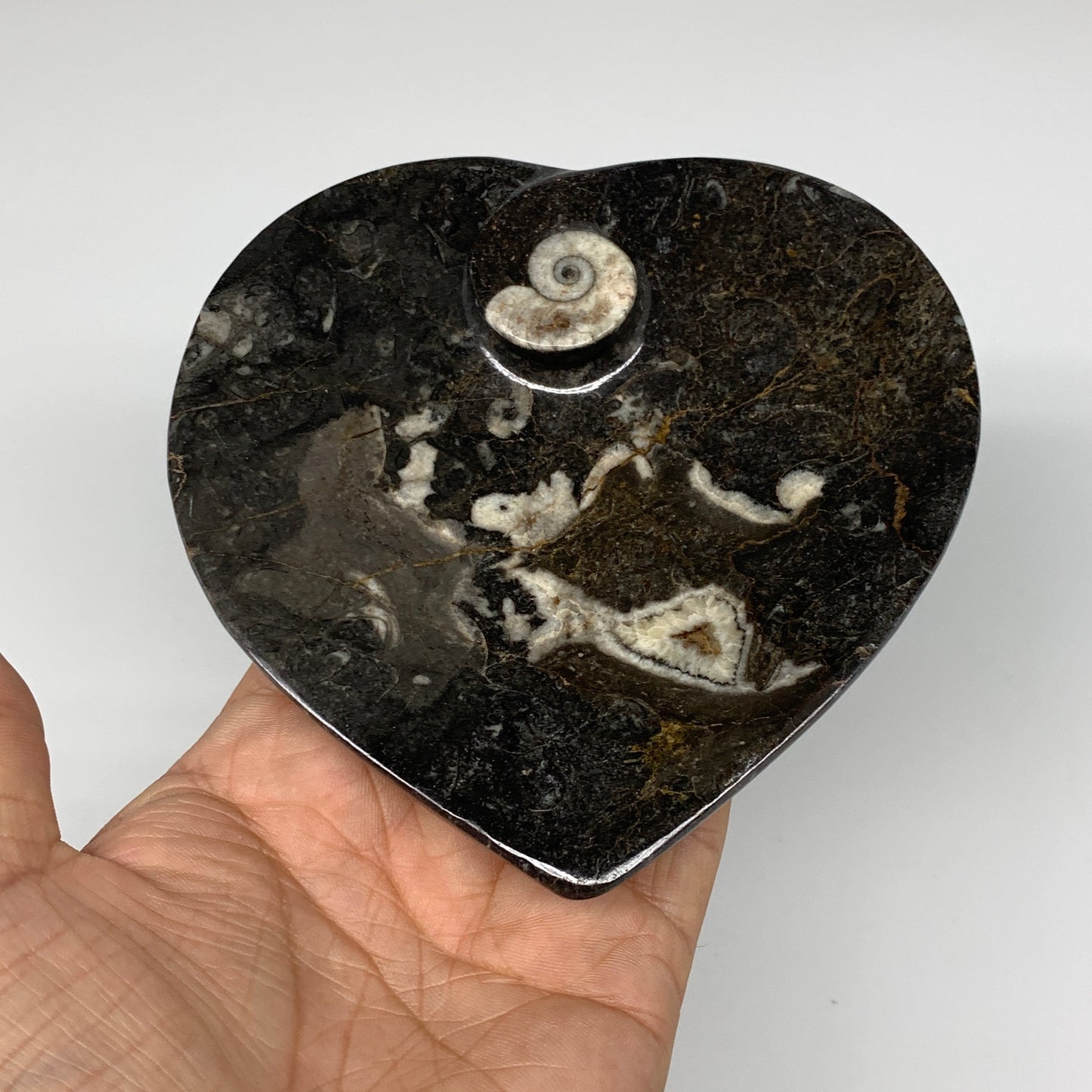 4Pcs, 4.8"x4.7" Small Heart Fossils Orthoceras Ammonite Bowls @Morocco, B8790