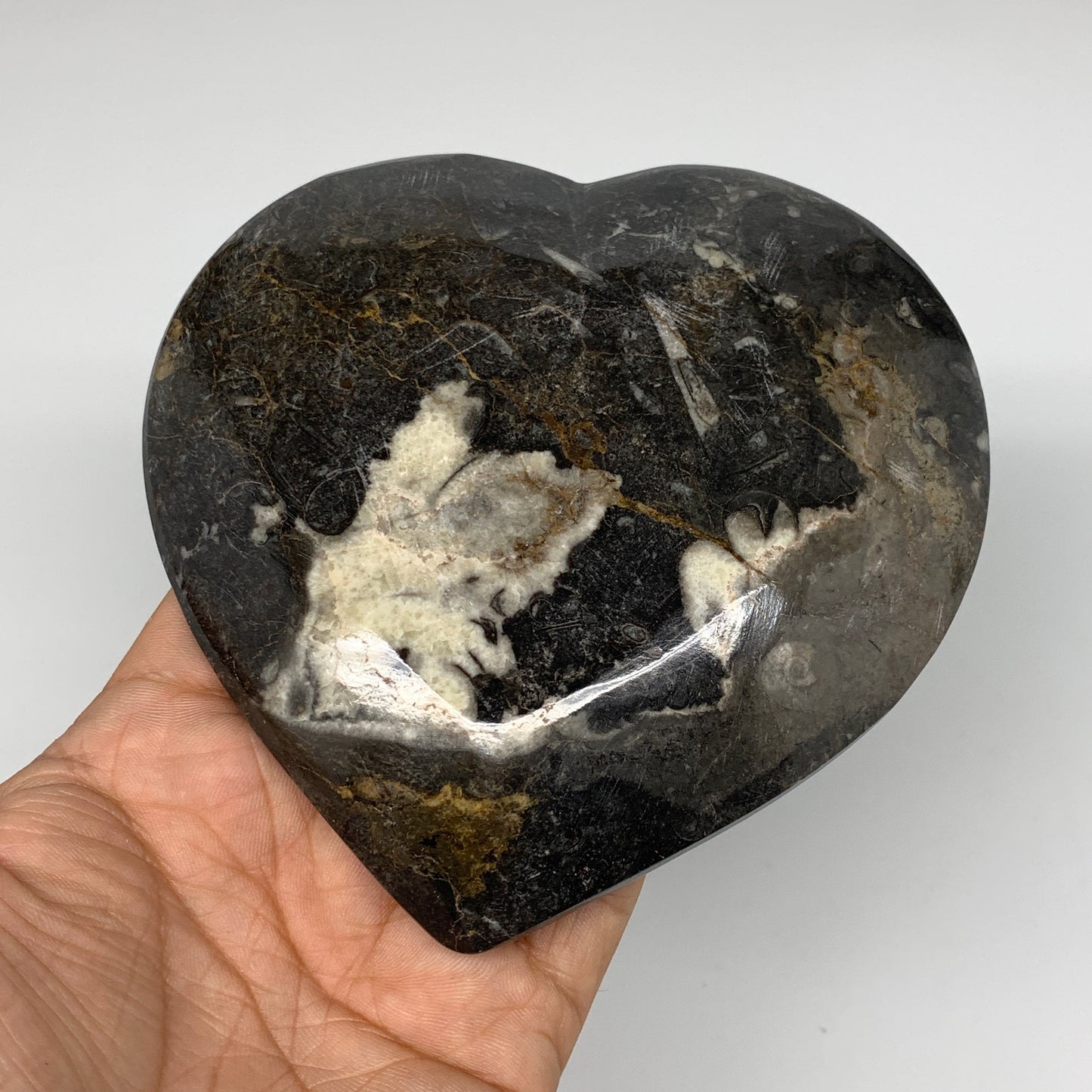 4Pcs, 4.8"x4.7" Small Heart Fossils Orthoceras Ammonite Bowls @Morocco, B8790