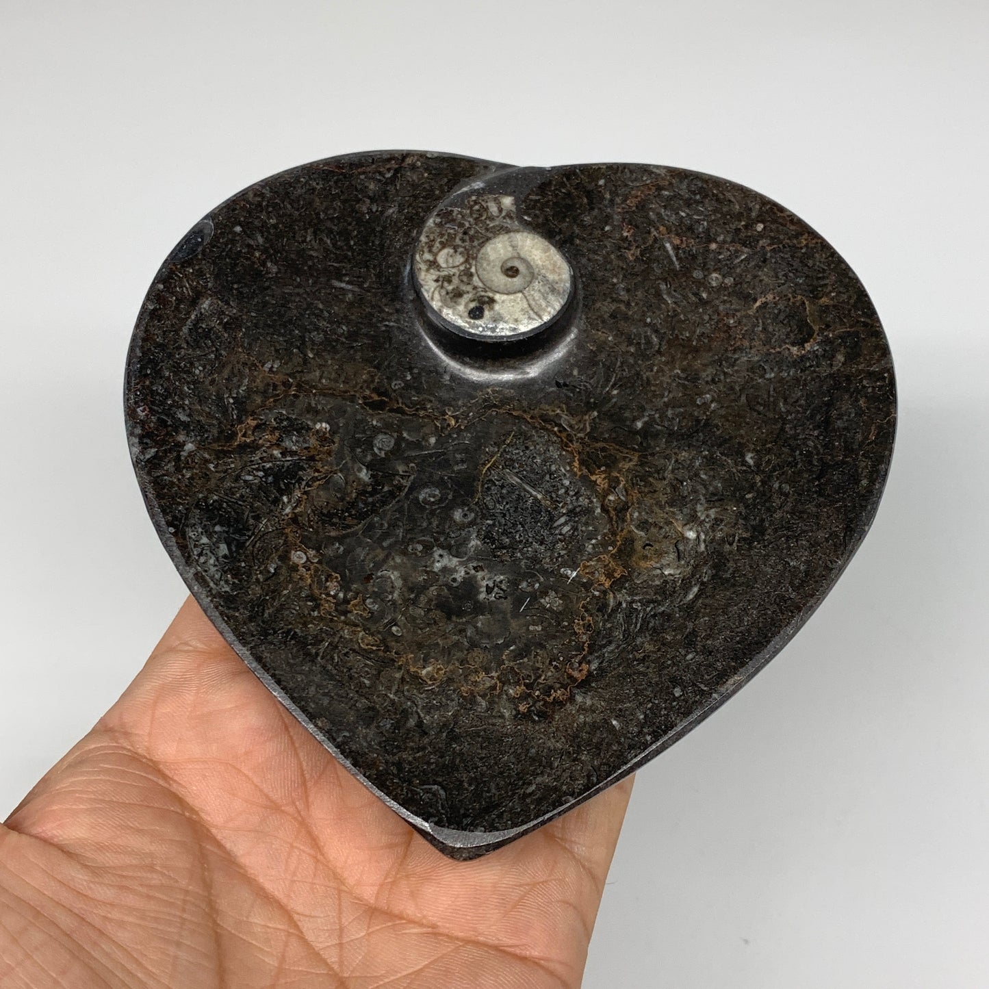 4Pcs, 4.8"x4.7" Small Heart Fossils Orthoceras Ammonite Bowls @Morocco, B8790