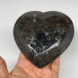 4Pcs, 4.8"x4.7" Small Heart Fossils Orthoceras Ammonite Bowls @Morocco, B8790
