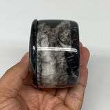 239.8g, 1.8"x2.6" Black Fossils Ammonite Orthoceras Jewelry Box @Morocco,F2362