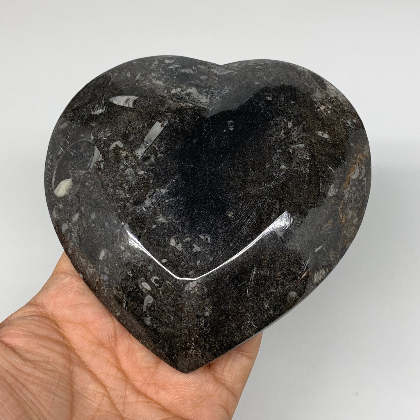 4Pcs, 4.8"x4.7" Small Heart Fossils Orthoceras Ammonite Bowls @Morocco, B8790