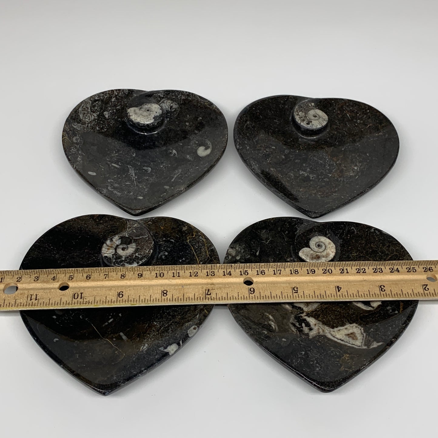 4Pcs, 4.8"x4.7" Small Heart Fossils Orthoceras Ammonite Bowls @Morocco, B8790