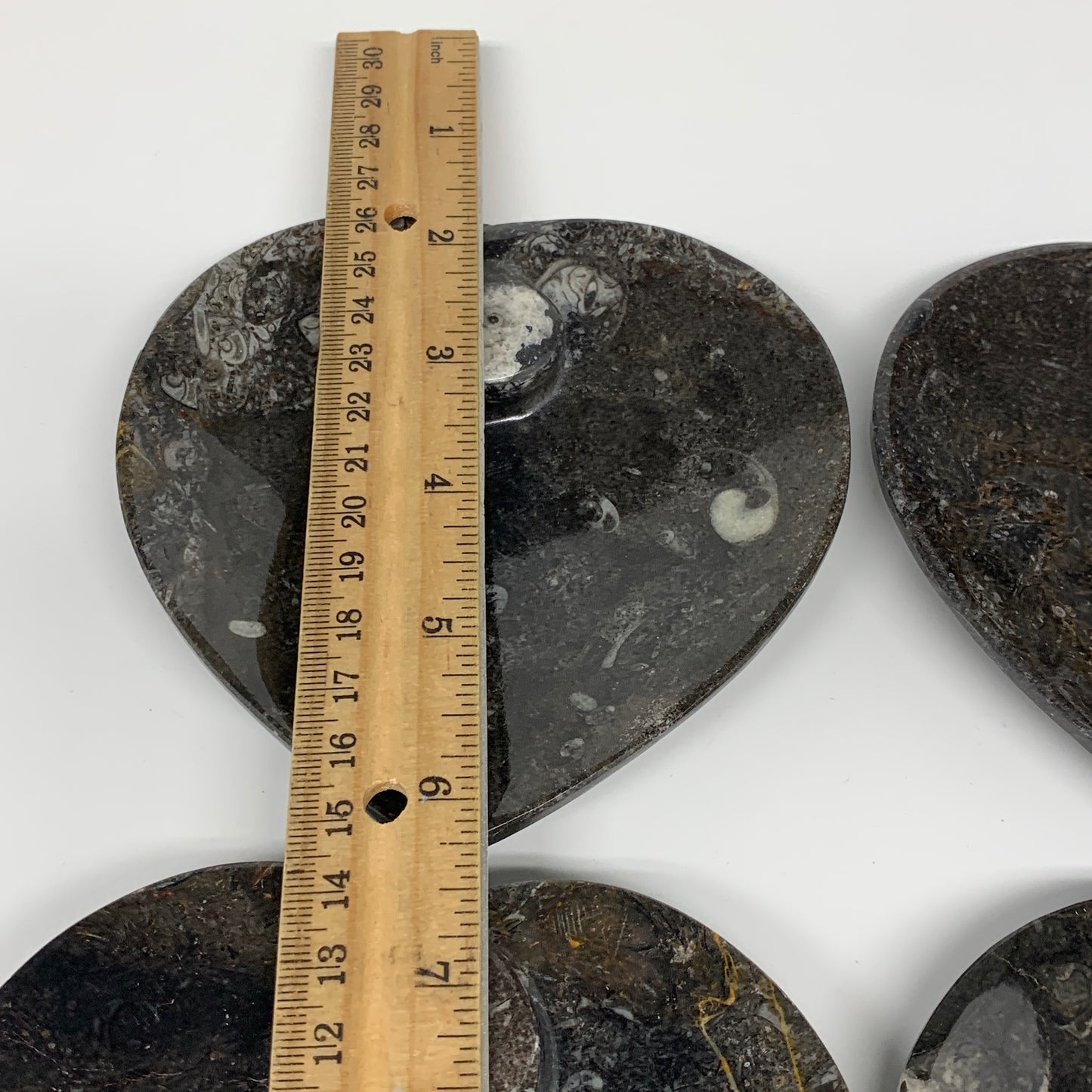 4Pcs, 4.8"x4.7" Small Heart Fossils Orthoceras Ammonite Bowls @Morocco, B8790