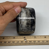 239.8g, 1.8"x2.6" Black Fossils Ammonite Orthoceras Jewelry Box @Morocco,F2362