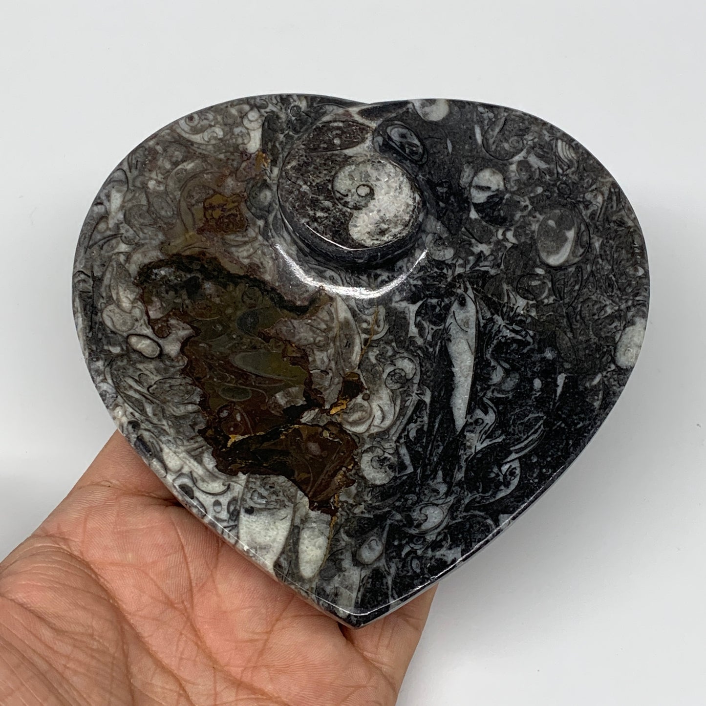 4Pcs, 4.8"x4.7" Small Heart Fossils Orthoceras Ammonite Bowls @Morocco, B8791