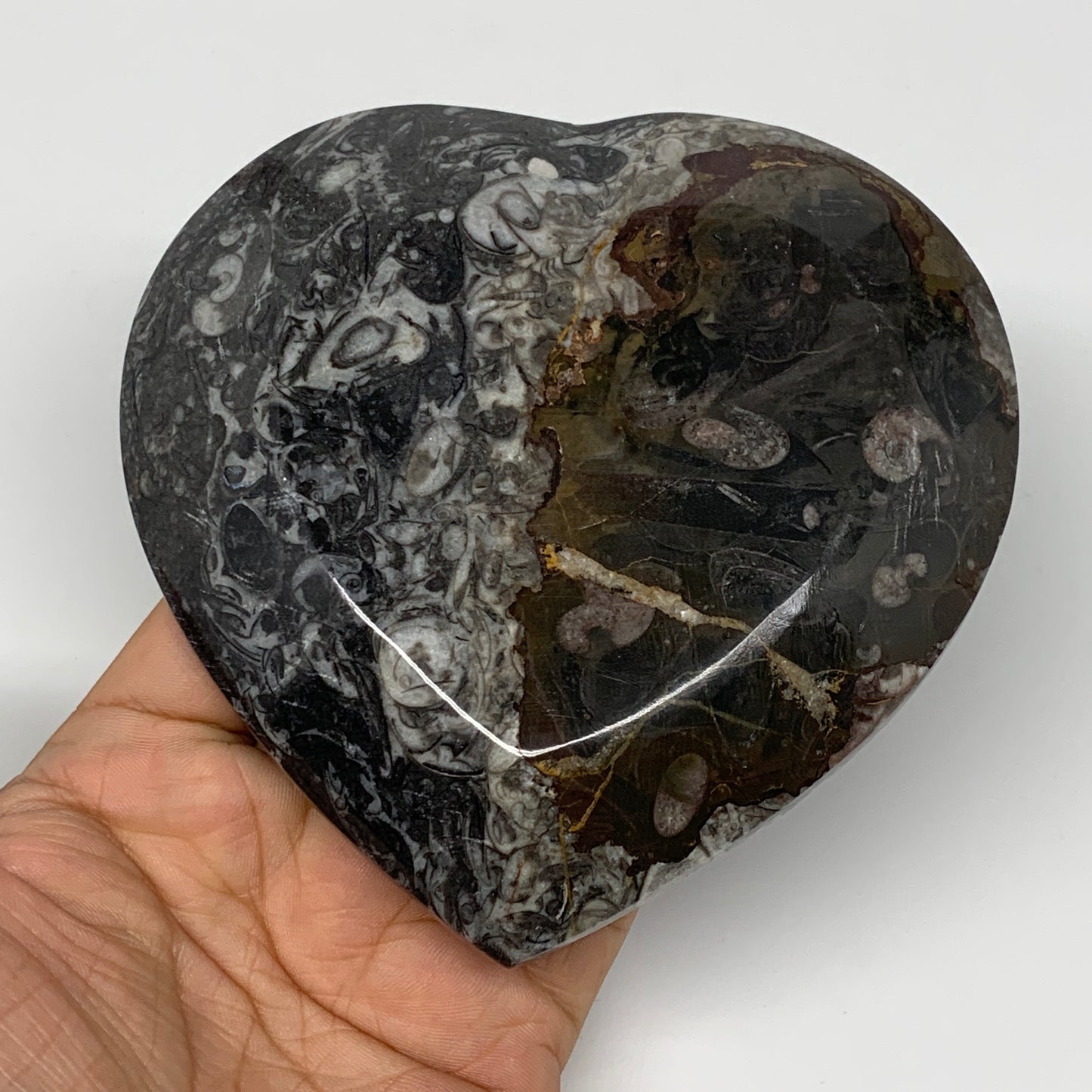 4Pcs, 4.8"x4.7" Small Heart Fossils Orthoceras Ammonite Bowls @Morocco, B8791