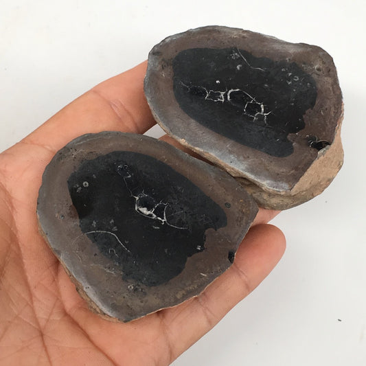 1 Pair,198.8g,2.5"x2" Natural Unique Septarian Nodules Slabs @Morocco,MF3616