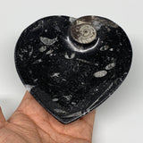 4Pcs, 4.8"x4.7" Small Heart Fossils Orthoceras Ammonite Bowls @Morocco, B8792