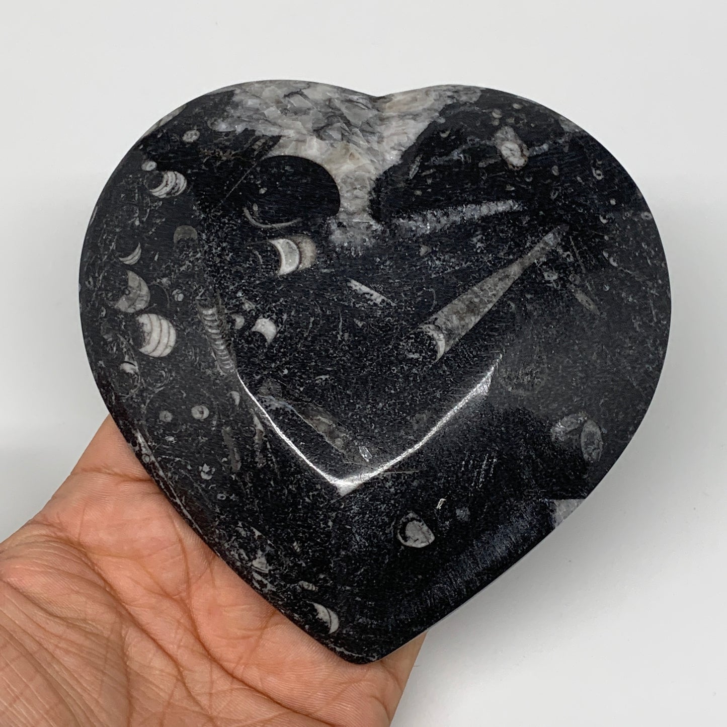 4Pcs, 4.8"x4.7" Small Heart Fossils Orthoceras Ammonite Bowls @Morocco, B8792