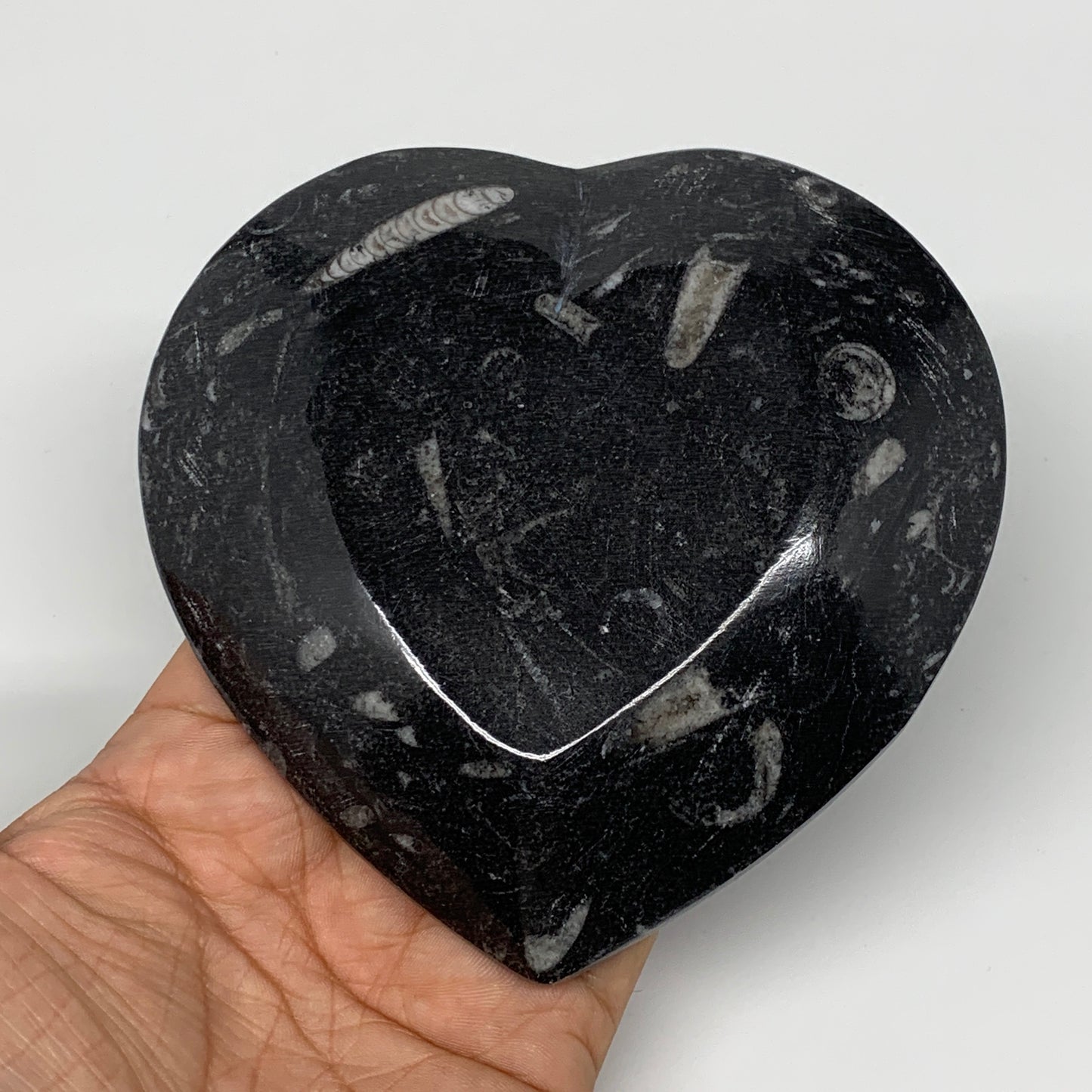 4Pcs, 4.8"x4.7" Small Heart Fossils Orthoceras Ammonite Bowls @Morocco, B8792