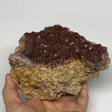 1226g, 5"x4.6"x3" Red Quartz Crystal Mineral Specimens @Morocco, B11298