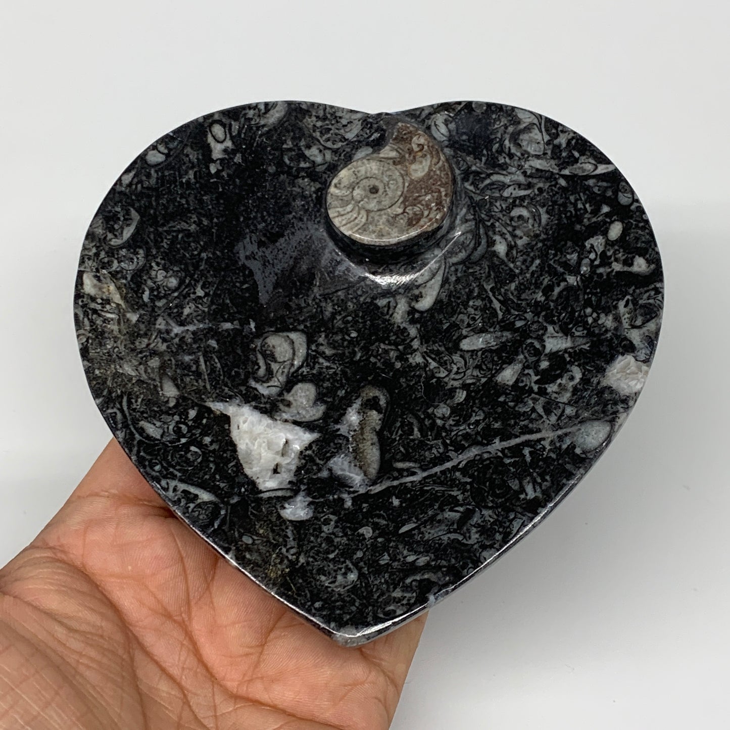 4Pcs, 4.8"x4.7" Small Heart Fossils Orthoceras Ammonite Bowls @Morocco, B8792