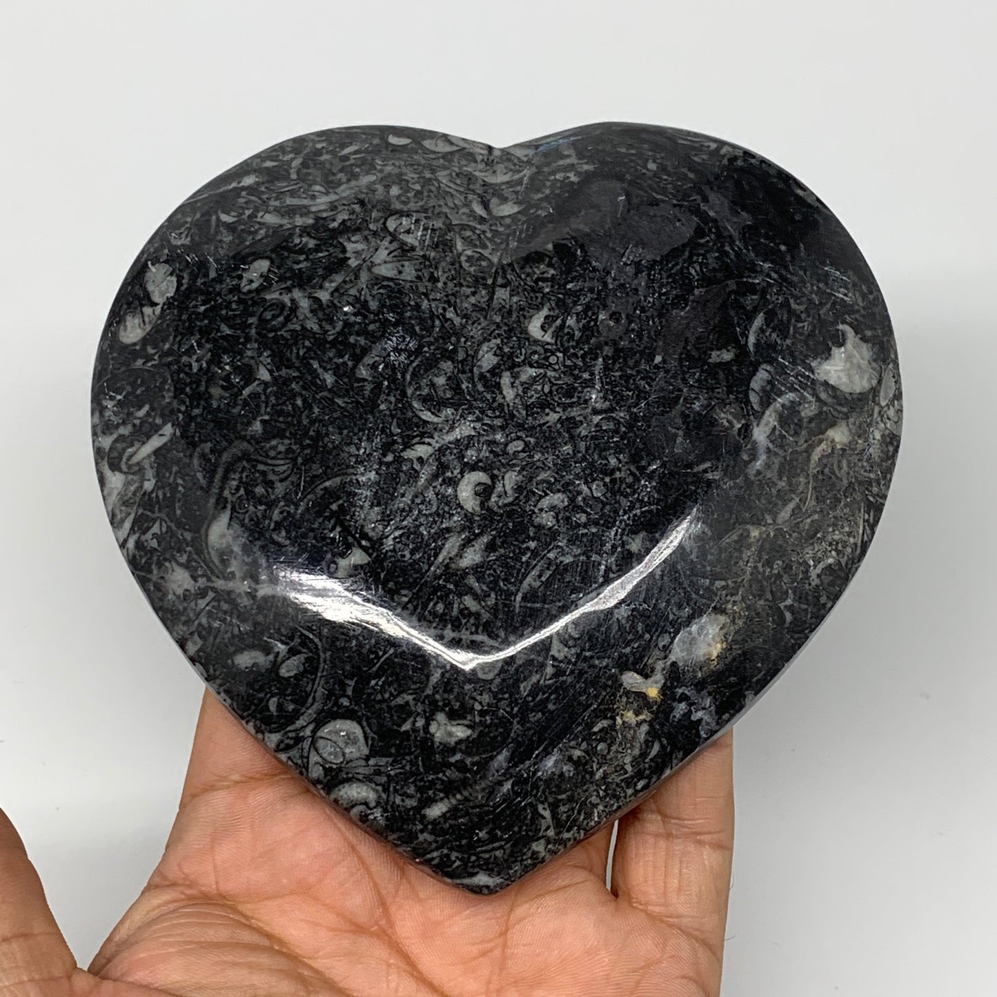 4Pcs, 4.8"x4.7" Small Heart Fossils Orthoceras Ammonite Bowls @Morocco, B8792