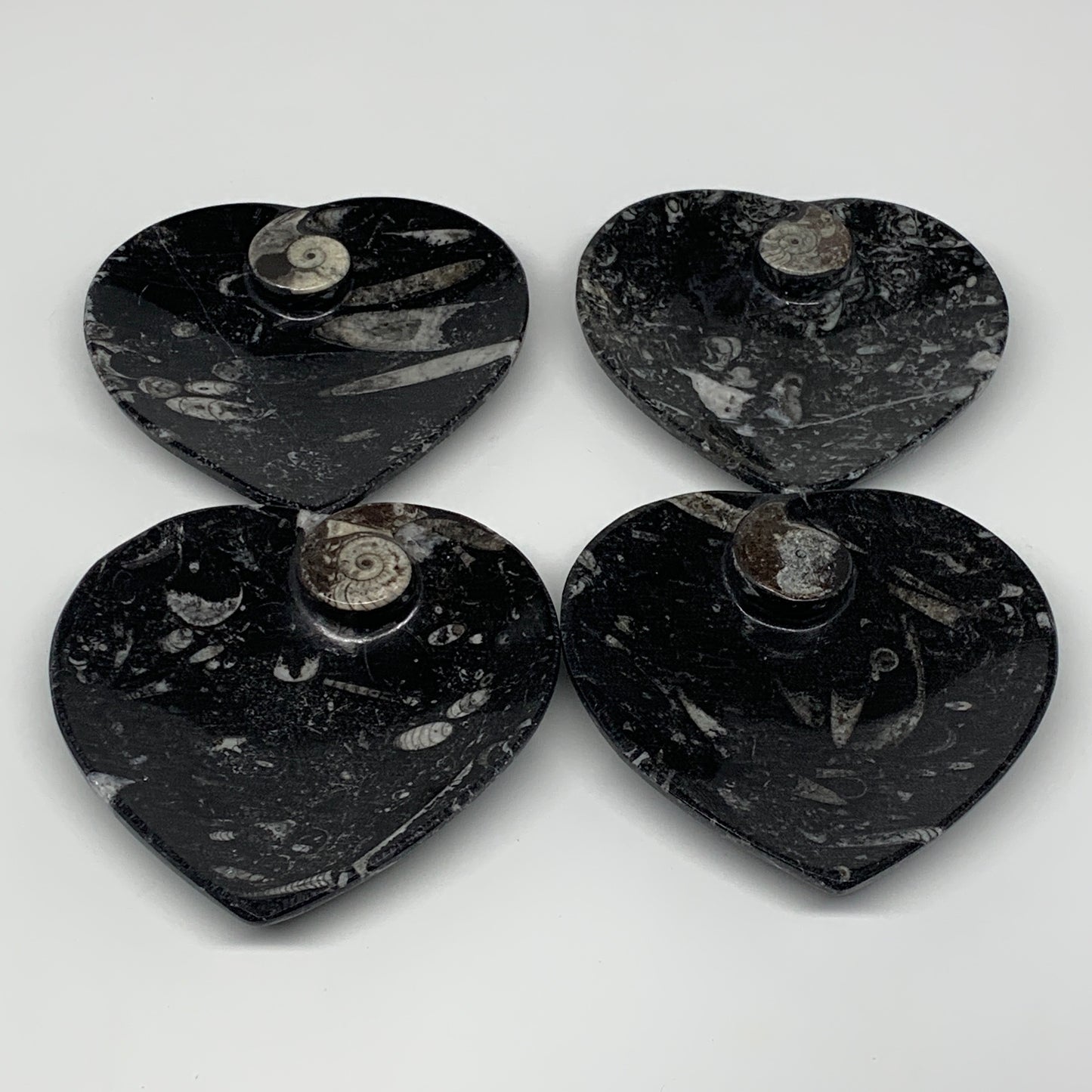 4Pcs, 4.8"x4.7" Small Heart Fossils Orthoceras Ammonite Bowls @Morocco, B8792