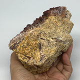1226g, 5"x4.6"x3" Red Quartz Crystal Mineral Specimens @Morocco, B11298