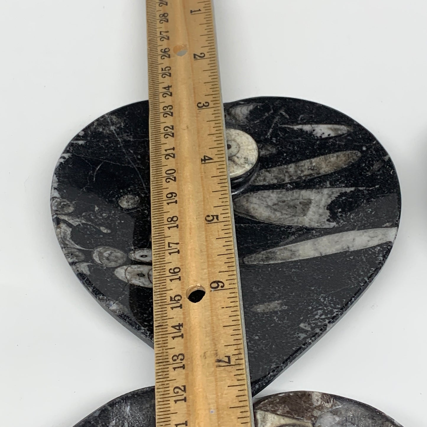 4Pcs, 4.8"x4.7" Small Heart Fossils Orthoceras Ammonite Bowls @Morocco, B8792