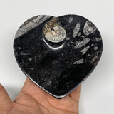 4Pcs, 4.8"x4.7" Small Heart Fossils Orthoceras Ammonite Bowls @Morocco, B8793