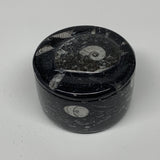 225.1g, 1.7"x2.6" Black Fossils Ammonite Orthoceras Jewelry Box @Morocco,F2367
