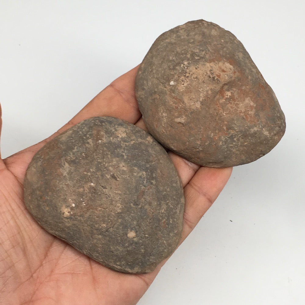 1 Pair,239.6g,2.9"x2.4" Natural Unique Septarian Nodules Slabs @Morocco,MF3621