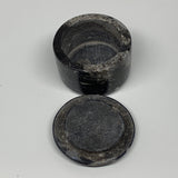 240.5g, 1.8"x2.6" Black Fossils Ammonite Orthoceras Jewelry Box @Morocco,F2368