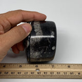 240.5g, 1.8"x2.6" Black Fossils Ammonite Orthoceras Jewelry Box @Morocco,F2368