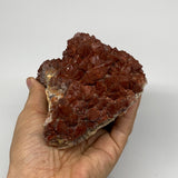 1004g, 5.6"x3.9"x2.8" Red Quartz Crystal Mineral Specimens @Morocco, B11305