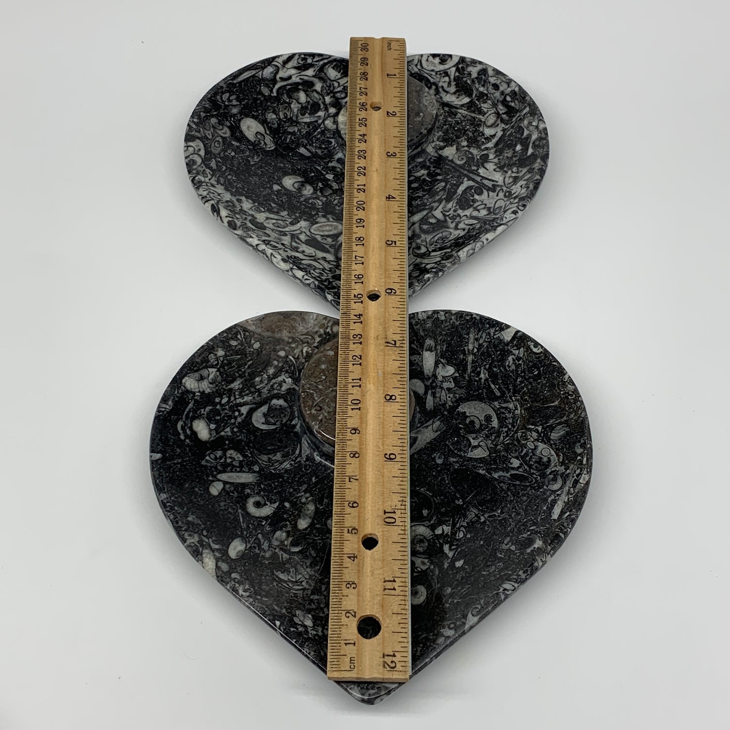 2Pcs, 6.25"x6.25" Heart Fossils Orthoceras Ammonite Bowls @Morocco, B8799