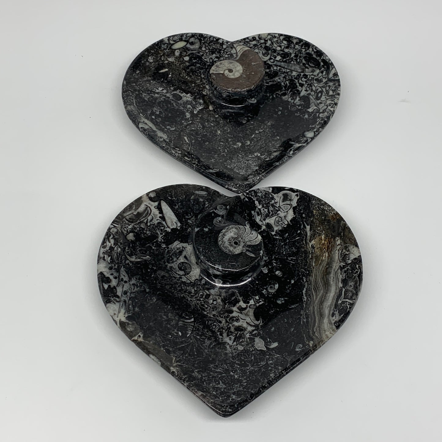 2Pcs, 6.25"x6.25" Heart Fossils Orthoceras Ammonite Bowls @Morocco, B8800