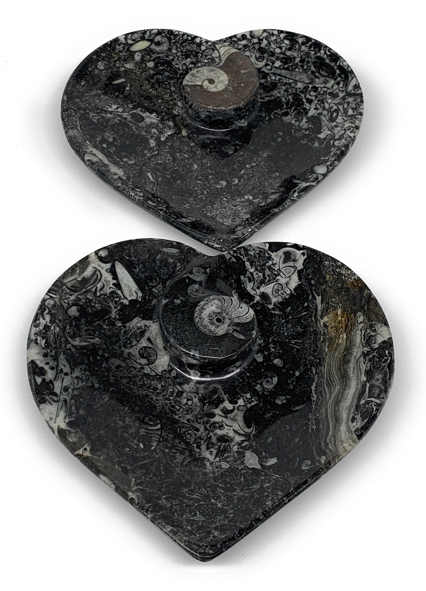 2Pcs, 6.25"x6.25" Heart Fossils Orthoceras Ammonite Bowls @Morocco, B8800