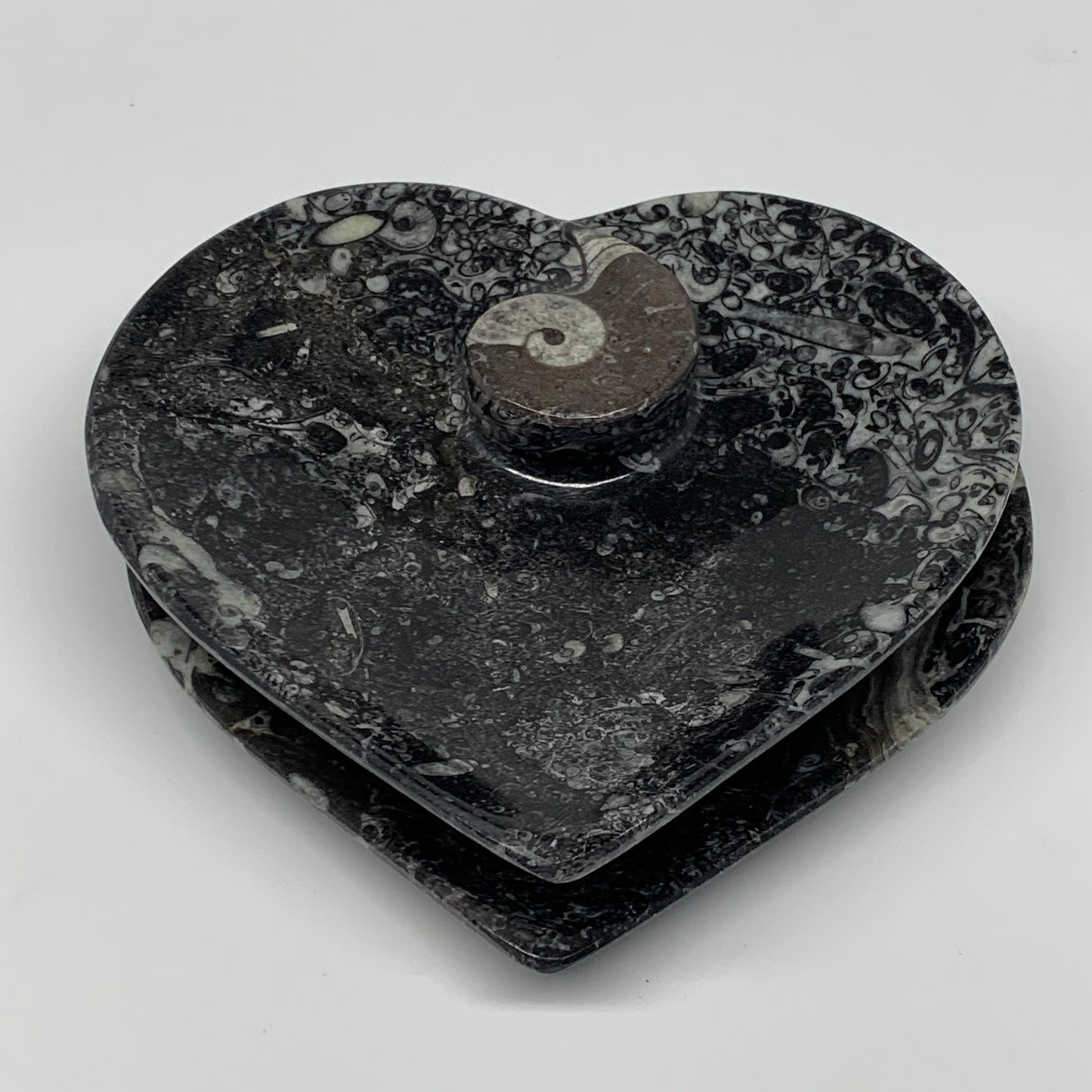 2Pcs, 6.25"x6.25" Heart Fossils Orthoceras Ammonite Bowls @Morocco, B8800