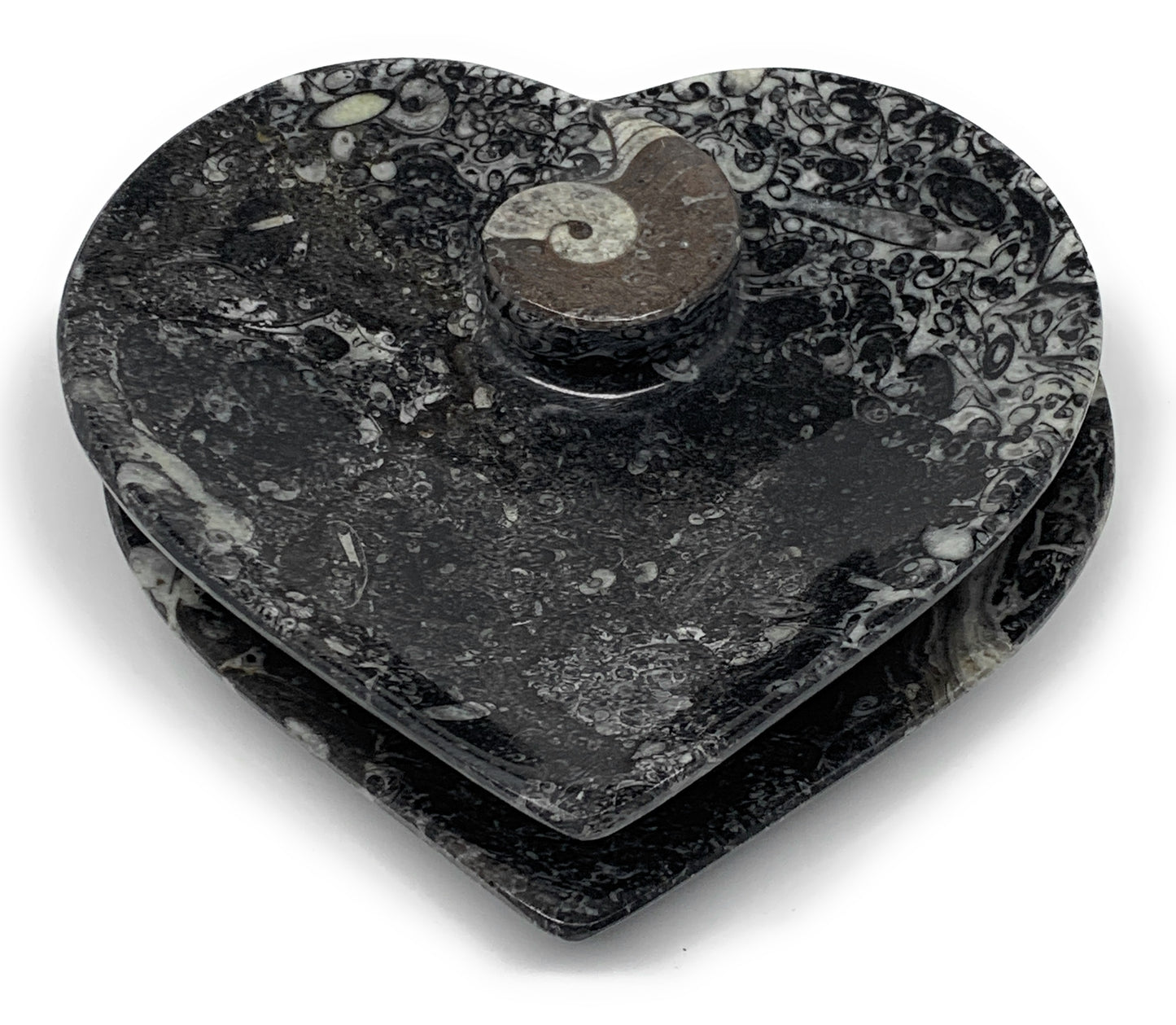 2Pcs, 6.25"x6.25" Heart Fossils Orthoceras Ammonite Bowls @Morocco, B8800