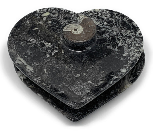 2Pcs, 6.25"x6.25" Heart Fossils Orthoceras Ammonite Bowls @Morocco, B8800