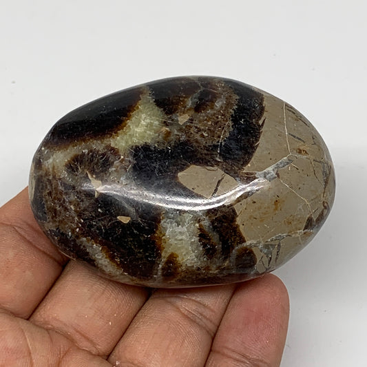 117.3g,2.6"x1.8"x1" Septarian Nodule Palm-Stone Polished Reiki Madagascar,B5076