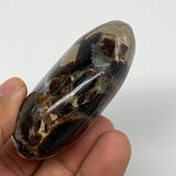 117.3g,2.6"x1.8"x1" Septarian Nodule Palm-Stone Polished Reiki Madagascar,B5076