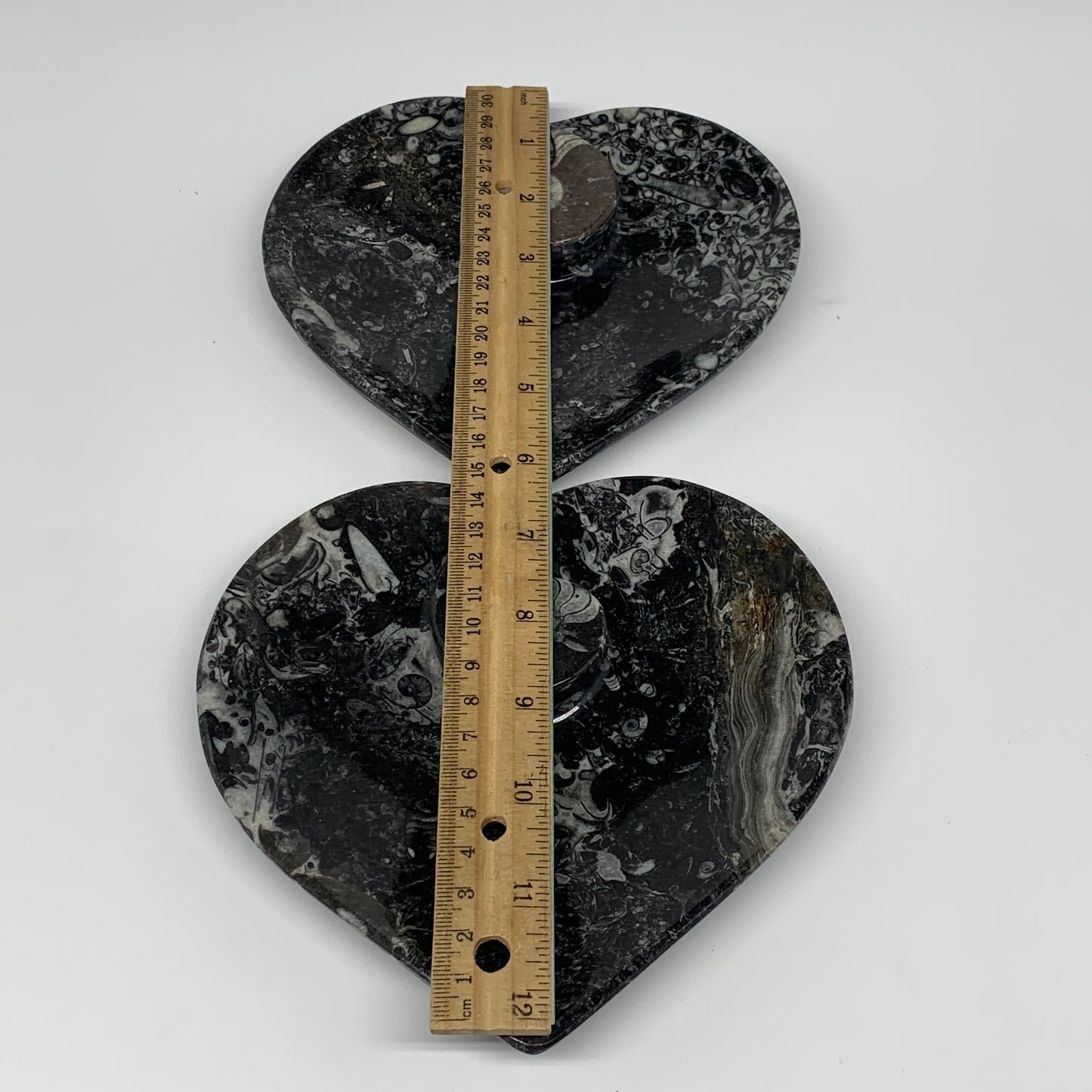 2Pcs, 6.25"x6.25" Heart Fossils Orthoceras Ammonite Bowls @Morocco, B8800