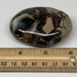 117.3g,2.6"x1.8"x1" Septarian Nodule Palm-Stone Polished Reiki Madagascar,B5076