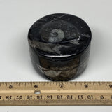 232.8g, 1.8"x2.6" Black Fossils Ammonite Orthoceras Jewelry Box @Morocco,F2380