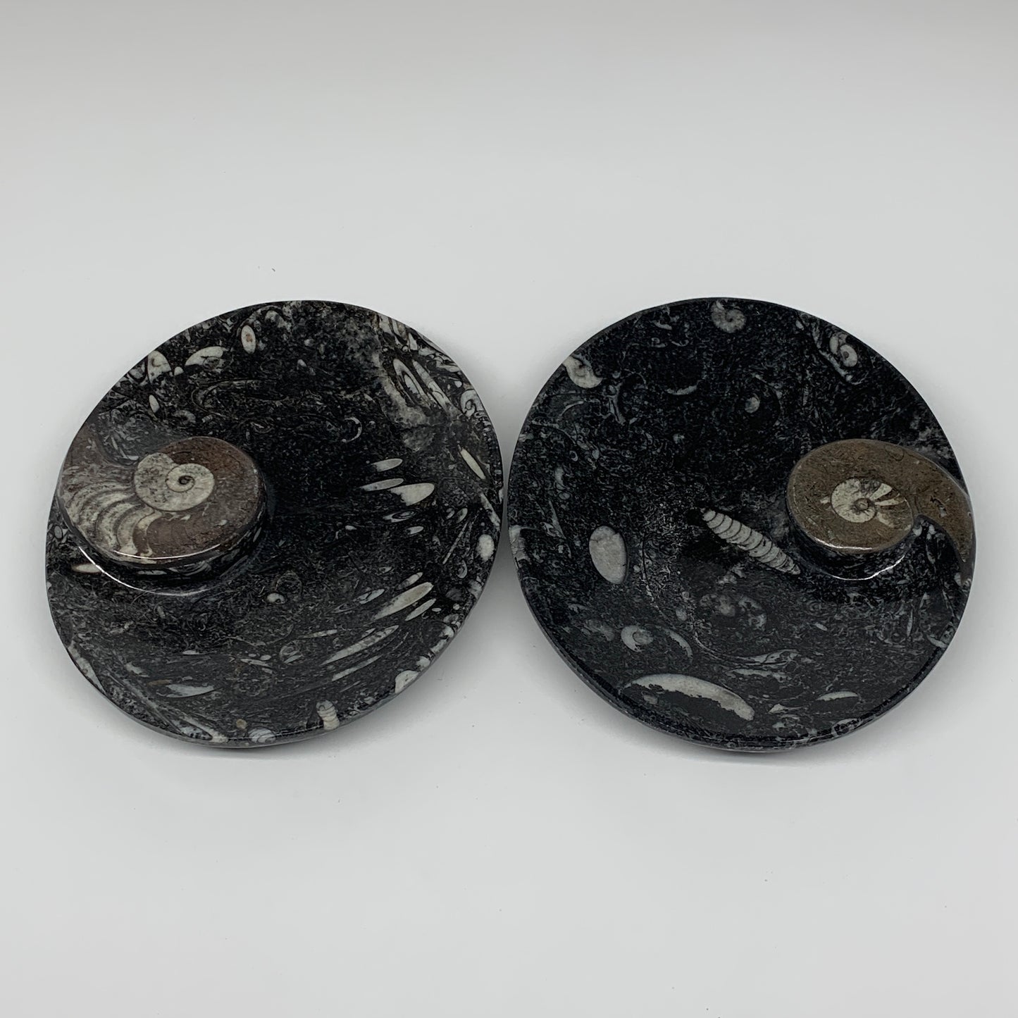 2Pcs, 6.5"x5.25" Black Fossils Ammonite Orthoceras Bowl Oval Ring @Morocco,B8806