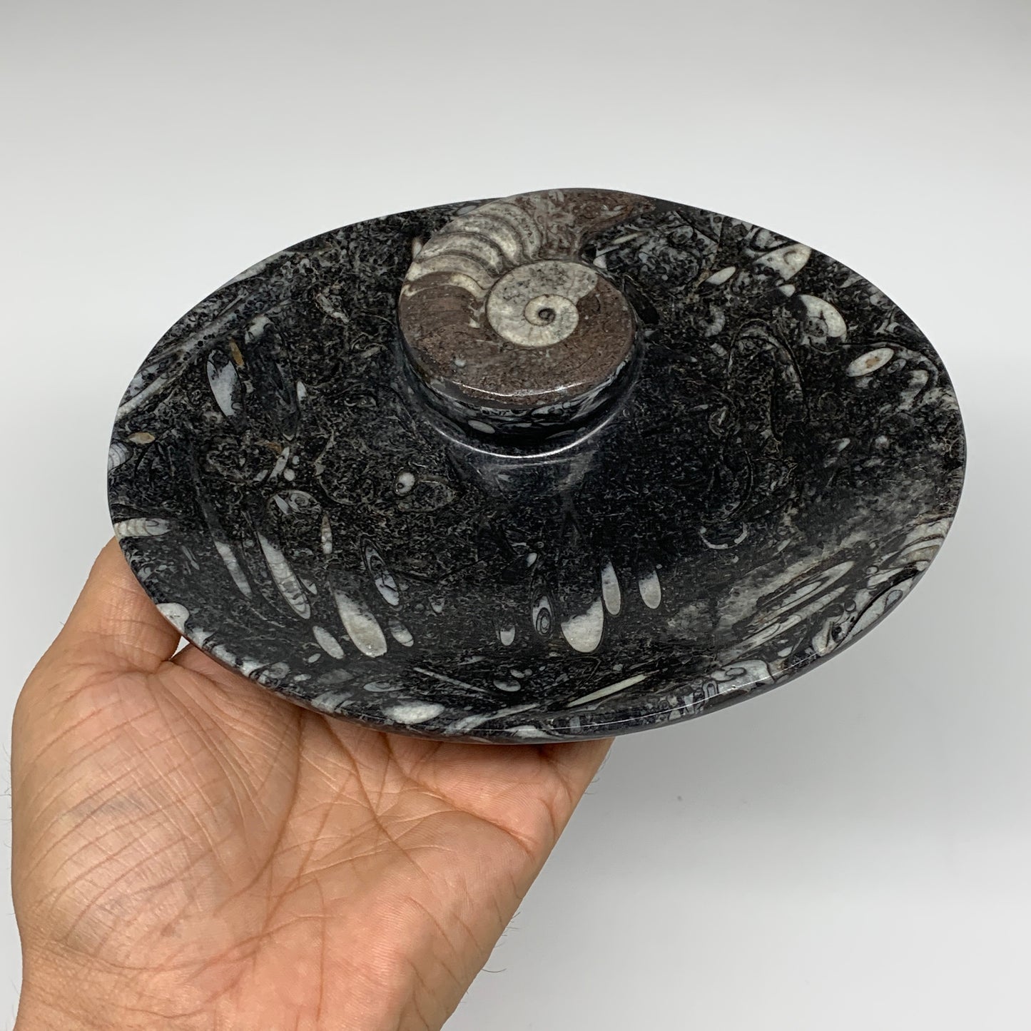 2Pcs, 6.5"x5.25" Black Fossils Ammonite Orthoceras Bowl Oval Ring @Morocco,B8806
