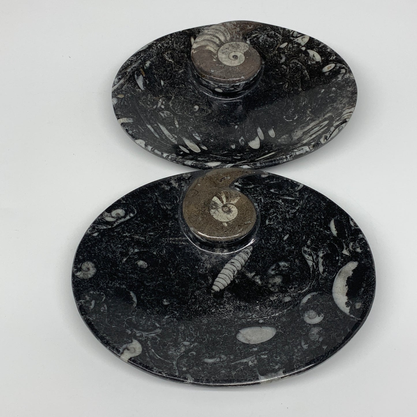 2Pcs, 6.5"x5.25" Black Fossils Ammonite Orthoceras Bowl Oval Ring @Morocco,B8806