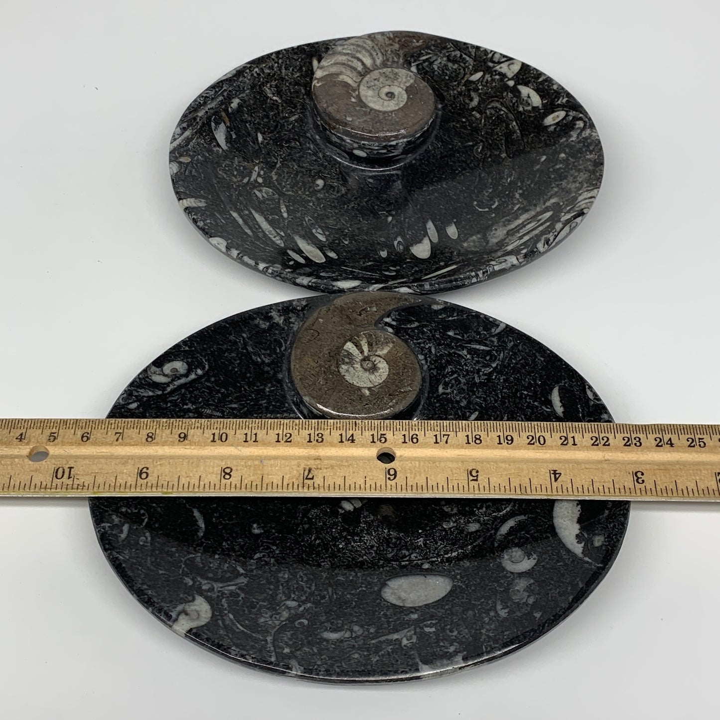 2Pcs, 6.5"x5.25" Black Fossils Ammonite Orthoceras Bowl Oval Ring @Morocco,B8806