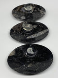 3pcs, 6-6.25"x4.7" Black Fossils Ammonite Orthoceras Bowl Oval Ring @Morocco,B88
