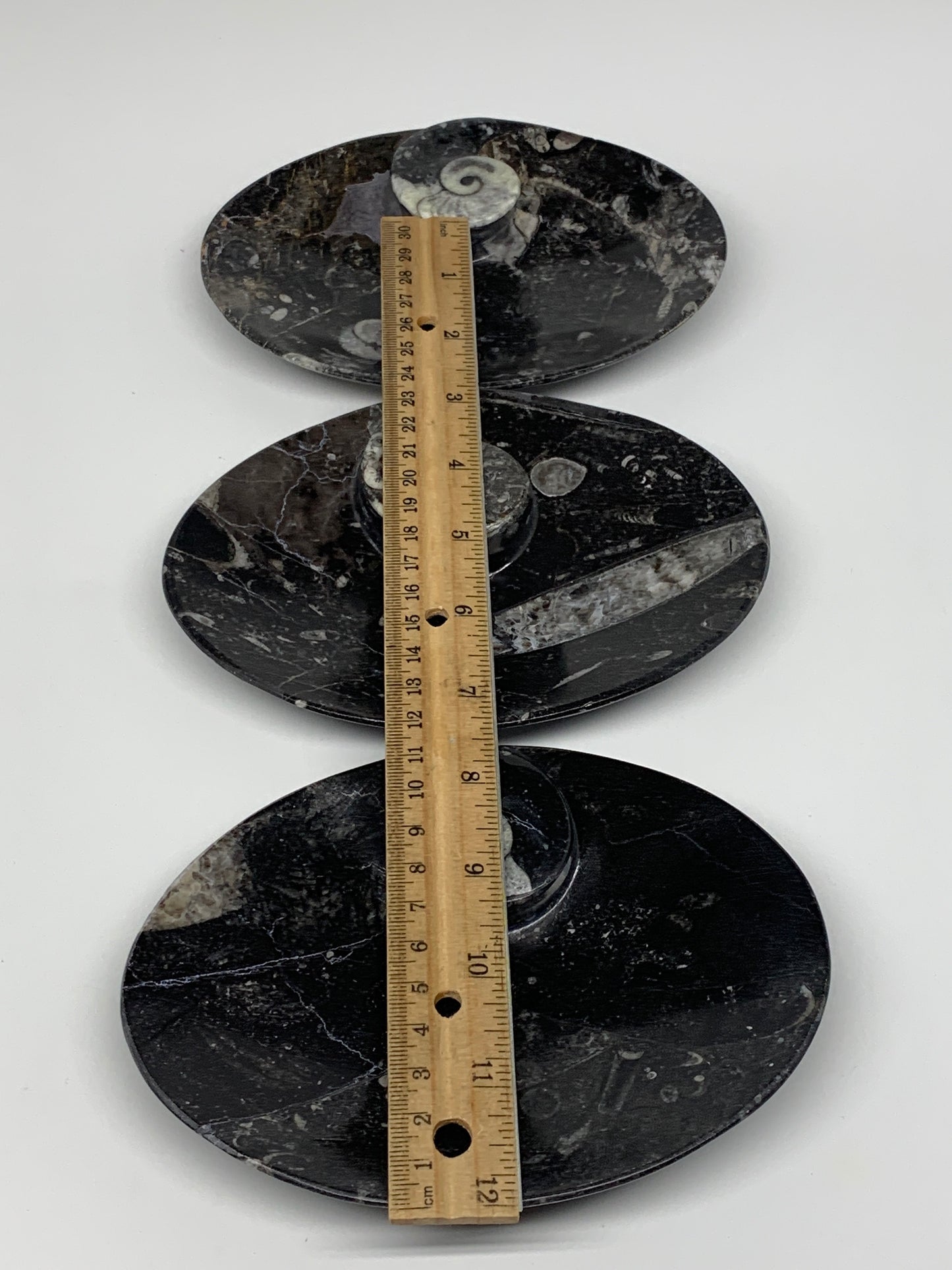 3pcs, 6-6.25"x4.7" Black Fossils Ammonite Orthoceras Bowl Oval Ring @Morocco,B88