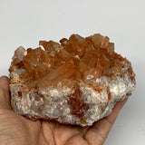 1010.1g, 4.2"x4.1"x2.4" Red Quartz Crystal Cluster Mineral Specimens @Morocco, B