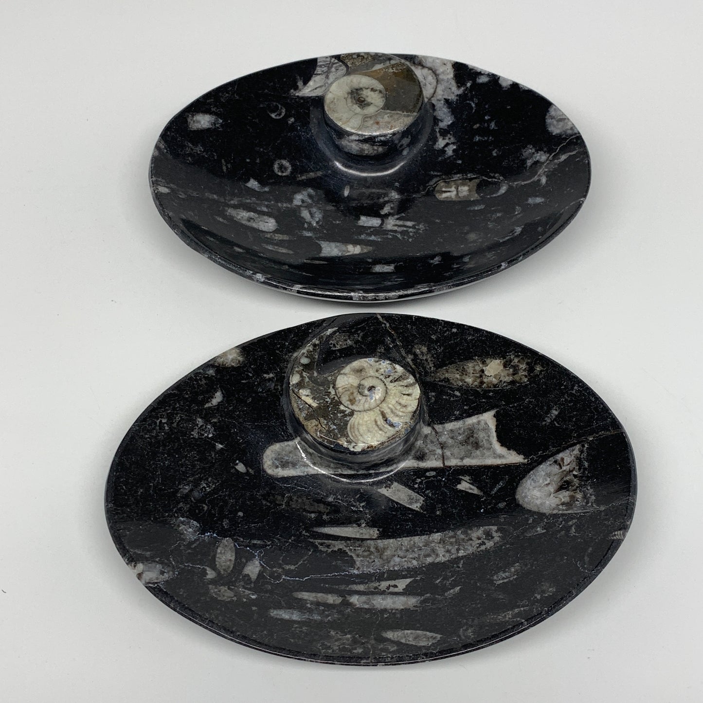 2pcs, 6-6.25"x4.7" Black Fossils Ammonite Orthoceras Bowl Oval Ring @Morocco,B88