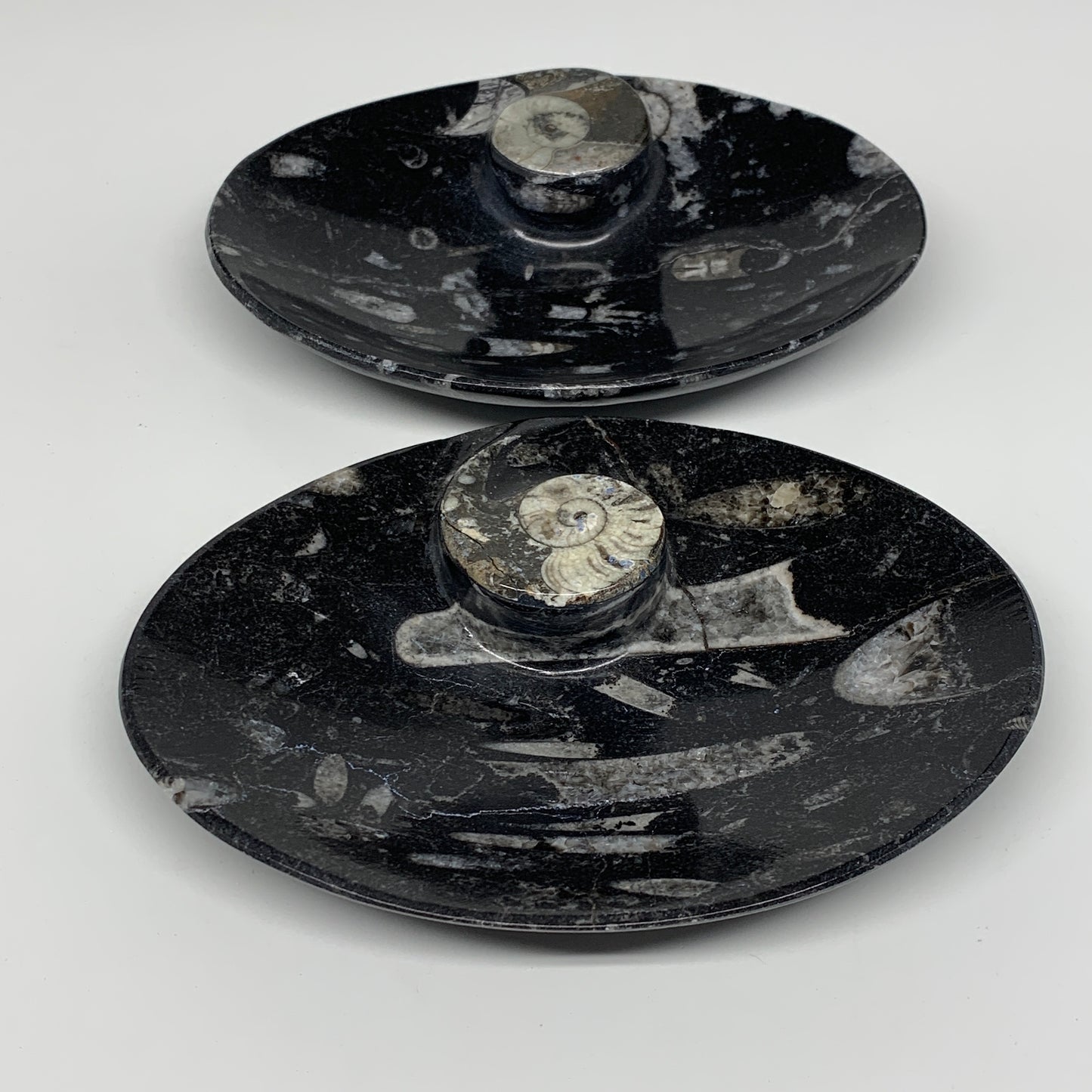 2pcs, 6-6.25"x4.7" Black Fossils Ammonite Orthoceras Bowl Oval Ring @Morocco,B88